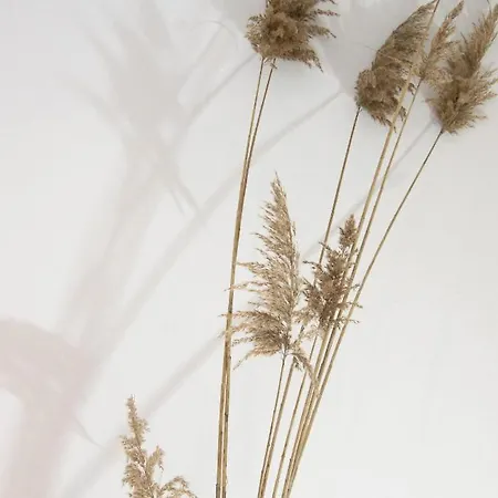 Hotel apartamentowy Iades